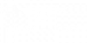 New Flyer Logo White