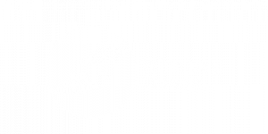 Winnipeg Transit Logo White