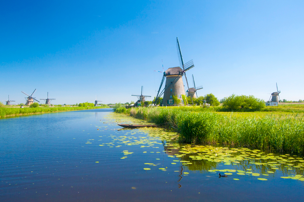 European Office - Infodev EDI inc- Located in the Netherlands