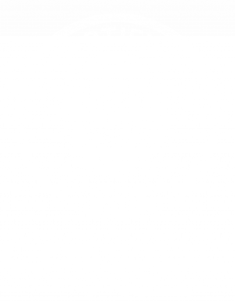 INFODEV EDI inc Découvrez le pouvoir des données sur vos passagers