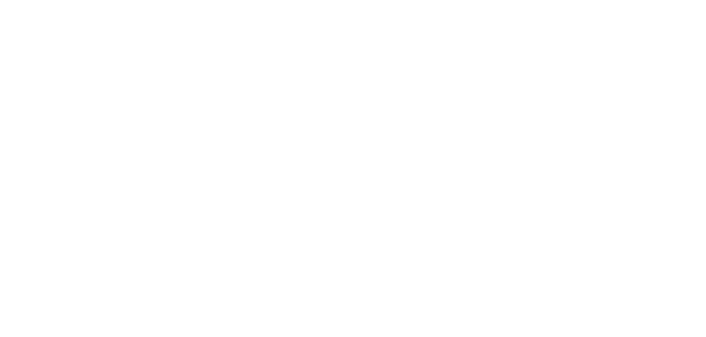 Logo Infodev Blanc